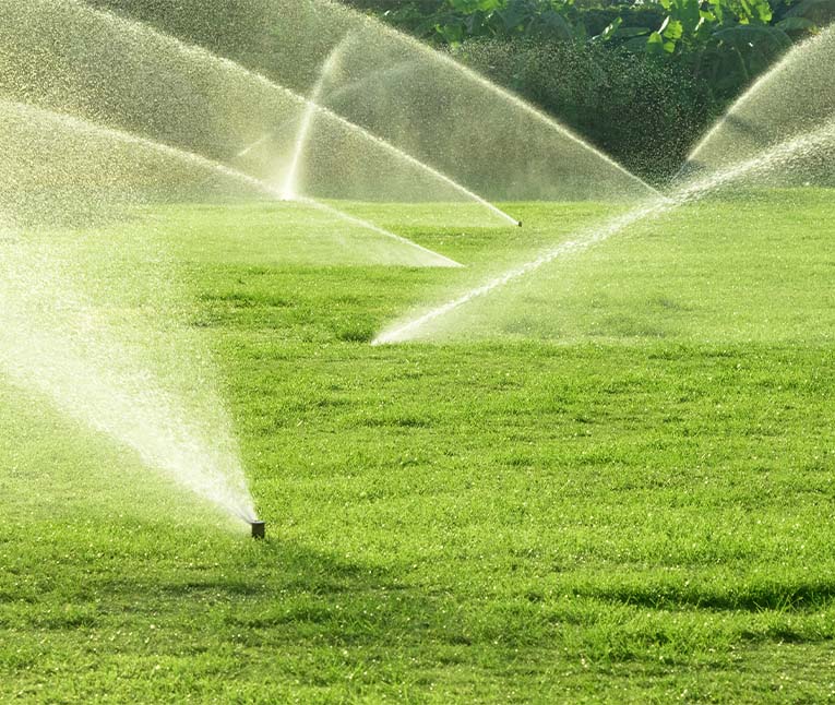 Irrigation Sprinklers Set To On