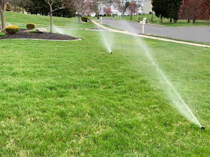 Sprinklers Set Up In The Grass